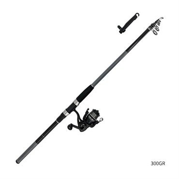  300グレー の画像