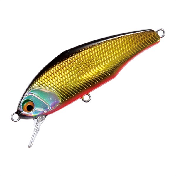 D－インサイト 44 | イシグロ公式オンラインショップ