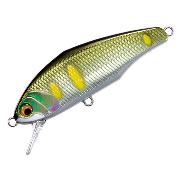 D－インサイト 44 | イシグロ公式オンラインショップ