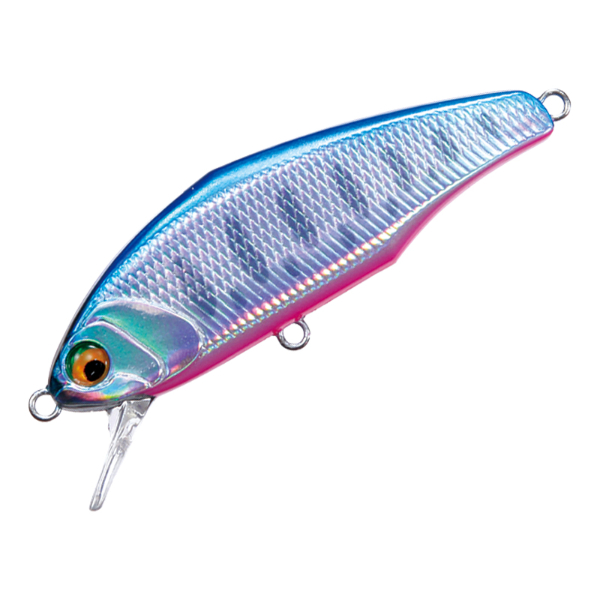 D－インサイト 44 | イシグロ公式オンラインショップ