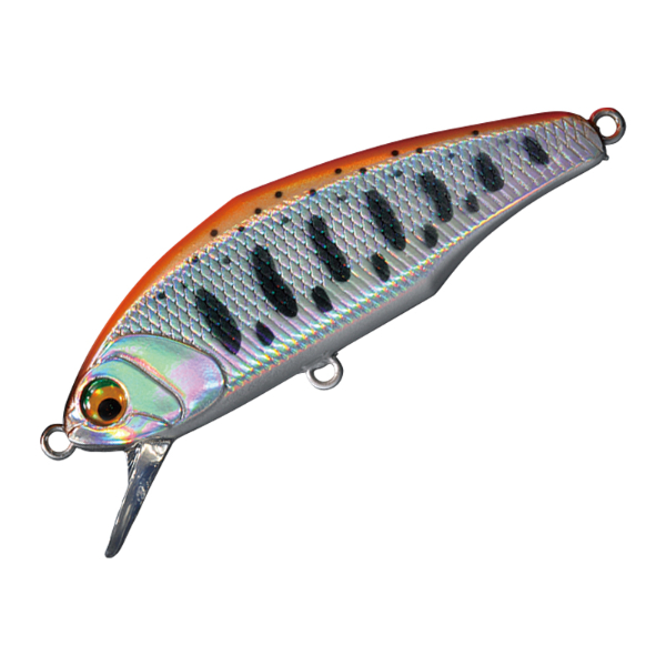 D－インサイト 44 | イシグロ公式オンラインショップ