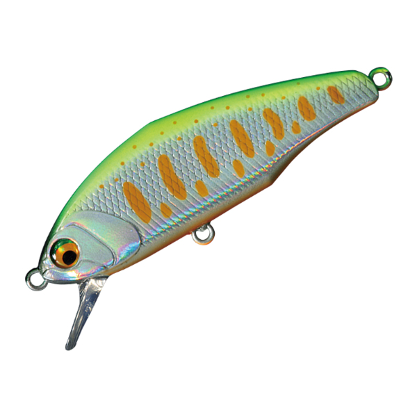 D－インサイト 44 | イシグロ公式オンラインショップ