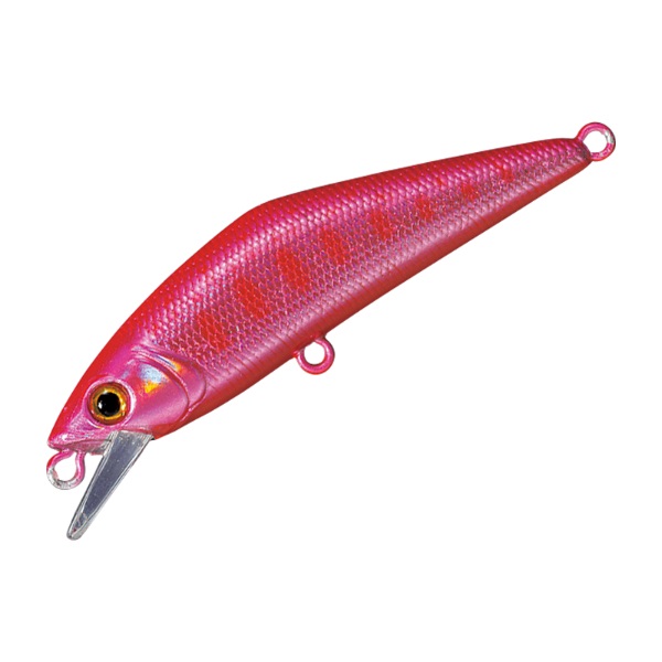 ACT55×2 Dコンタクト63×3 Dコンタクト50×1 メテオーラ52×2 ACT55×2 Dコンタクト63×3 Dコンタクト50×1 メテオーラ52×