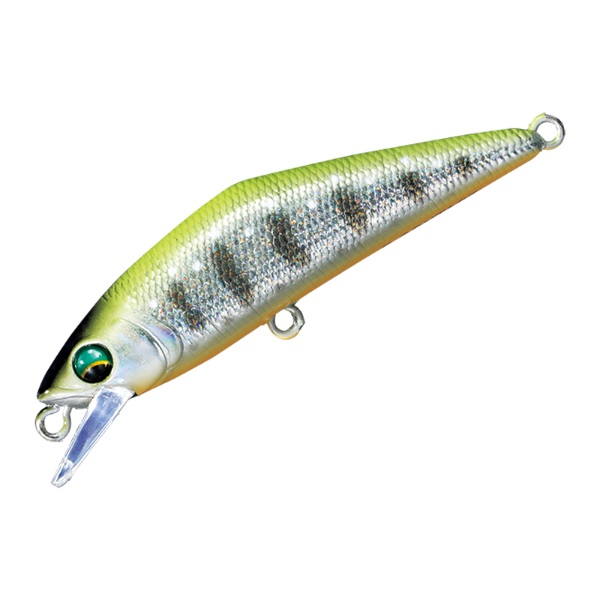 ACT55×2 Dコンタクト63×3 Dコンタクト50×1 メテオーラ52×2 ACT55×2 Dコンタクト63×3 Dコンタクト50×1 メテオーラ52×