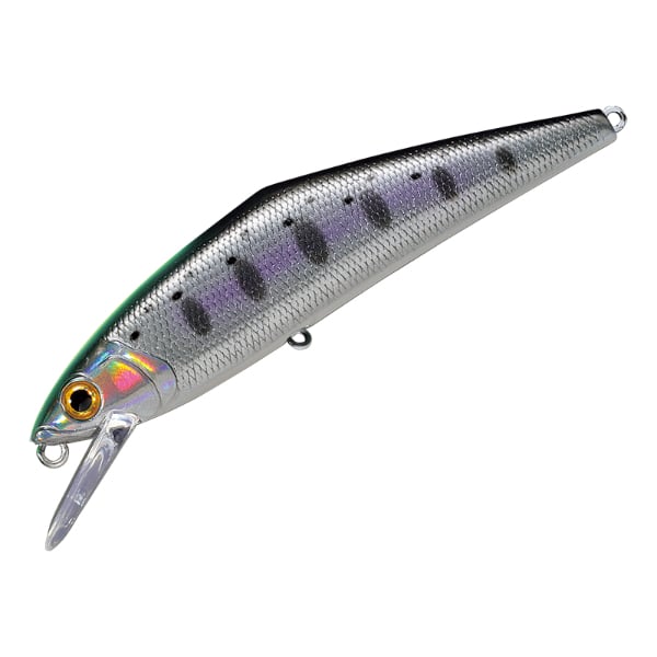 D-コンタクト 85 アワビ | イシグロ公式オンラインショップ