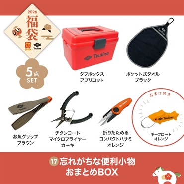 【2026福袋】忘れがちな便利小物おまとめBOX（アプリコット）