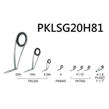 PKLSG20H81（ステンレスSiC ガイドセット）