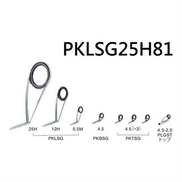 PKLSG25H81（ステンレスSiC ガイドセット）