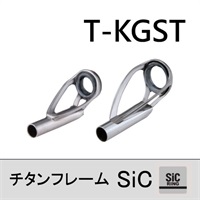トルザイトガイド　トップセット パーツ ) 富士工業 トップガイド チタンフレーム＋トルザイト