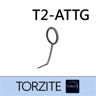 T2-ATTG