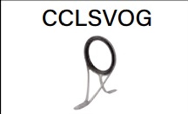 CCLSVOG6～20