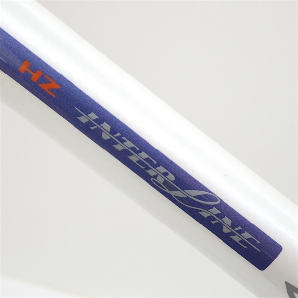 インターラインサーフ 27号 405 ダイワ DAIWA 06930722 釣り用品