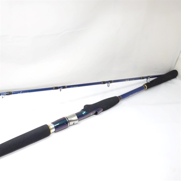 13先鋭 ダイワ 先鋭剣崎 120-170MT 剣崎120－170MT