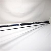 １０メタリアヒラメ３００