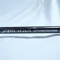 アルシエラ落とし込みＭ２２５