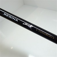 ＲＥＧＩＮＡ　山吹硬調３００４
