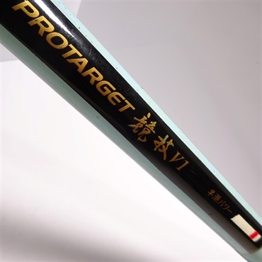 プロターゲット競技Ｖ１早瀬パワー