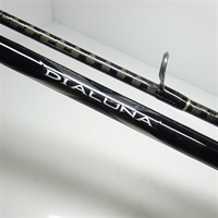 １０ディアルーナＳ９００Ｌ