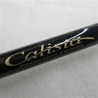カリスタ７９ＭＭＨ／ＡＧ