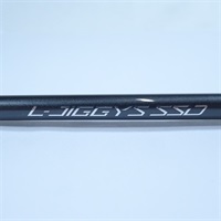 Ｌ－ジギーズＳＳＤＳ６４０／ＦＳＬ