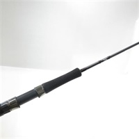 １７キャタリナＪ６２ＭＳ・Ｅ