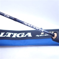 ２１　ＳＡＬＴＩＧＡ　ＲＪ６２Ｂ－２　ＴＧ