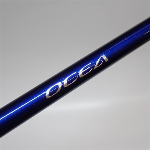 ホウセキゾウムシとアシナガオオヨノハキス セット 蟲神器第4弾速報 アシナガオオコノハギス ホウセキゾウムシ