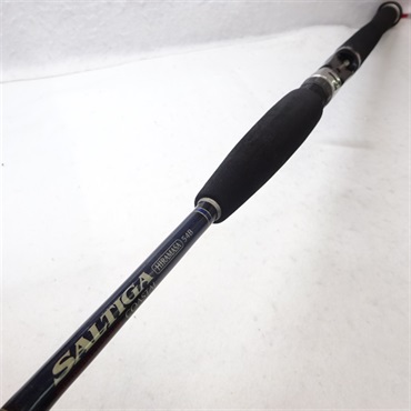 ソルティガコースタルヒラマサ54s(カツカツ様専用出品)