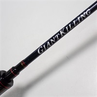 ダイワTHEORY601Ti-01 チタン13° Carboflex TX 中古 チタンハンガー・ピンク | Titanium Power