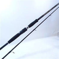 １３ハートランド震斬ビワコスペック