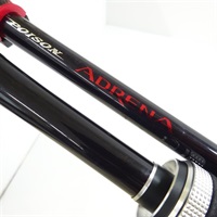 １３ポイズンアドレナ２７０Ｌ