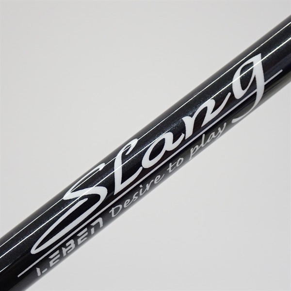 VB61.XXAGDRKMX Vega | Vega VEGAVIB 61 Series Vibrating Rod