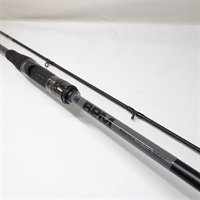 ＢＰＭＢ２－Ｃ６１０Ｍ