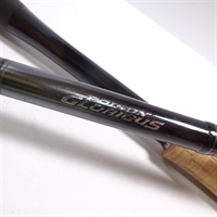 ２１ポイズングロリアス１７４ＭＨ＋
