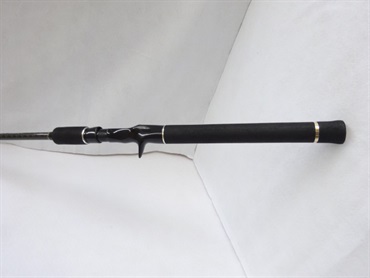 HCSC-70M-LTS フォースグランディス7LTS EVERGREEN（エバーグリーン