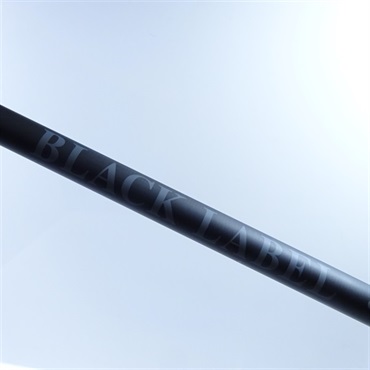 ダイワ 24ブラックレーベル C66ML-LM（ダイワ ブラックレーベル