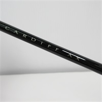 ２１カーディフＡＸＳ６０ＵＬーＦＦ