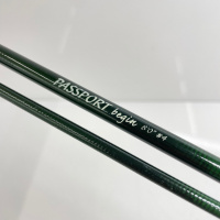 パスポートビギン８＇０＂＃４
