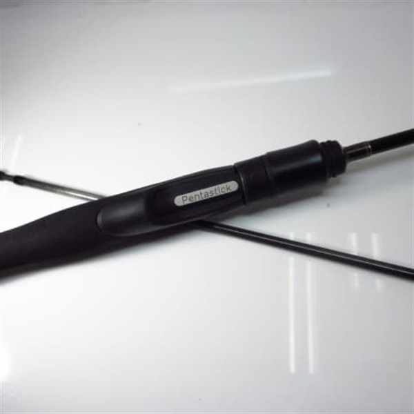ペンタスティック　PS2F 2LB-606S リチャーズ Pentastick PS2F 2LB-606S