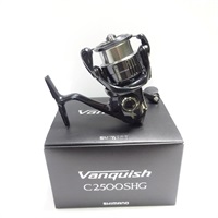 １９ヴァンキッシュＣ２５００ＳＨＧ