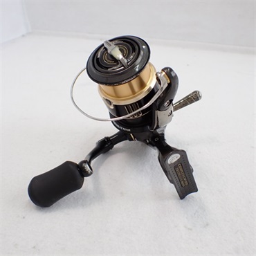 １３コンプレックスＣＩ４＋２５００ＨＧＳＦ６