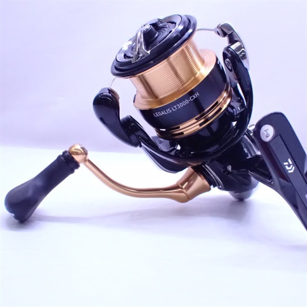 19レガリスLT3000ーCXH | イシグロ公式オンラインショップ