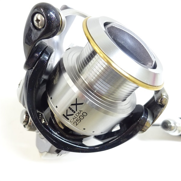 カルディアキックス2500 【公式通販】