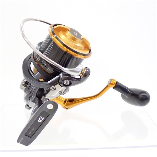 ダイワ 19キャスティズム25 15PE ダイワ 19 キャスティズム 25 15PE