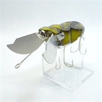 ガンディーニ．