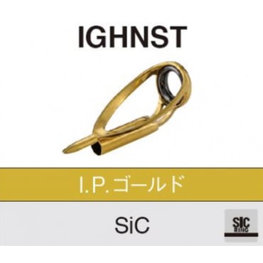 IGHNST 10H