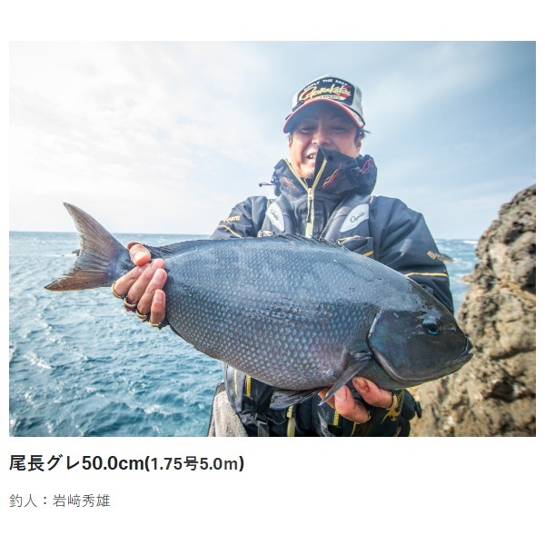 がま磯　アテンダー3 1.5-53　美品 23がま磯 アテンダー3 | イシグロ公式オンラインショップ