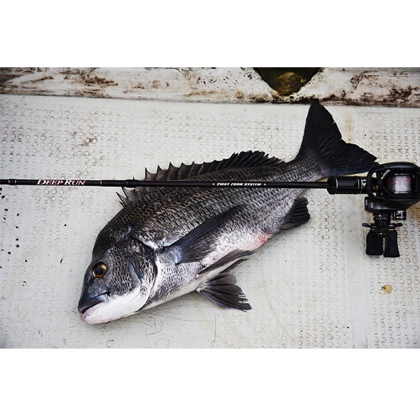 23カセ筏師DEEP RUN ZOOM | イシグロ公式オンラインショップ