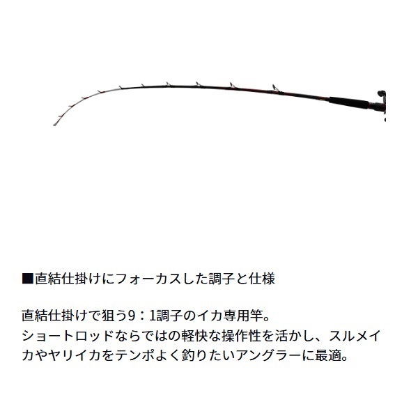 24アナリスター イカ直結 | イシグロ公式オンラインショップ
