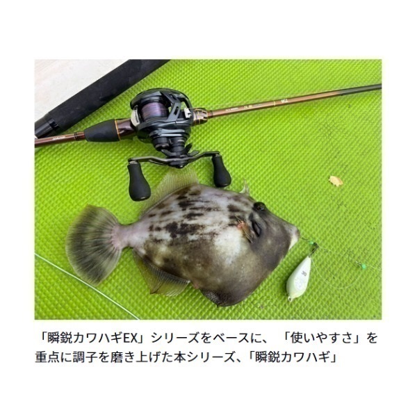瞬鋭カワハギ | イシグロ公式オンラインショップ